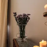 Pepe Concetta E La Movida Lejlighed Noto
