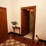 Pepe Concetta E La Movida